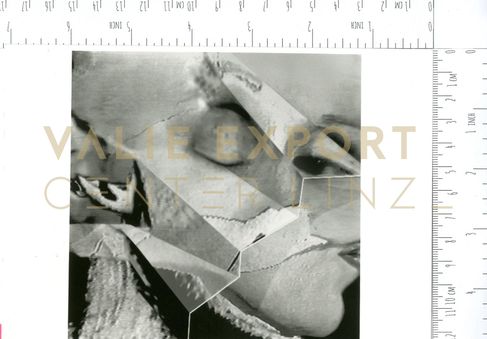 [VEC.001.495] - O.T. 12.2.