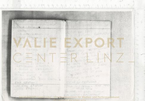 [VEC.006.173] - [Recherchematerial "UNICA ZÜRN"] - Notizen