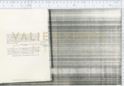 [VEC.002.302] - META PERCEPTION: THE CAMERA OBSCURA OF CONSCIOUSNESS