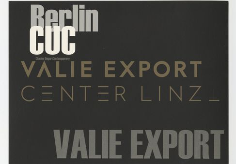 [VEC.004.613] - VALIE EXPORT [Berlin, 2008]