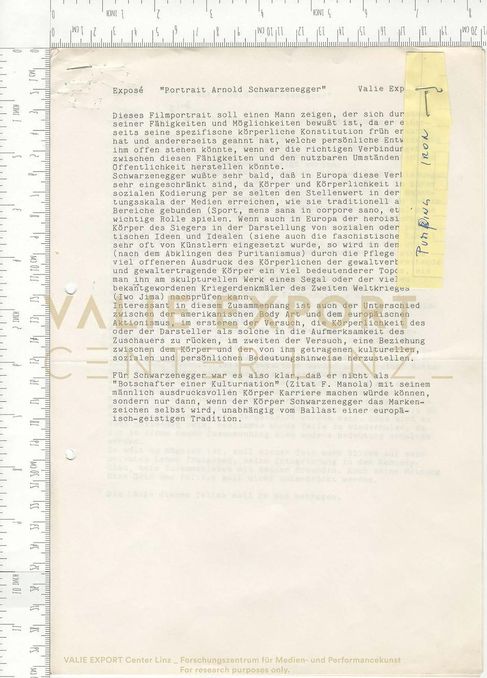 [VEC.005.434] - Exposé "Portrait Arnold Schwarzenegger"