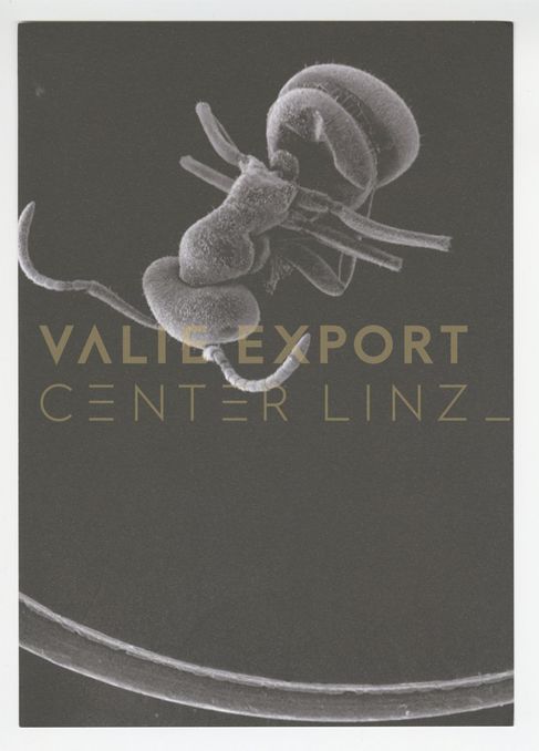 [VEC.004.666] - Gudrun Bielz. Artificial Stuff