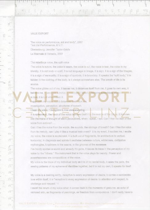 [VEC.000.844] - "the voice as performance, act and body", 2007. Text der Performance