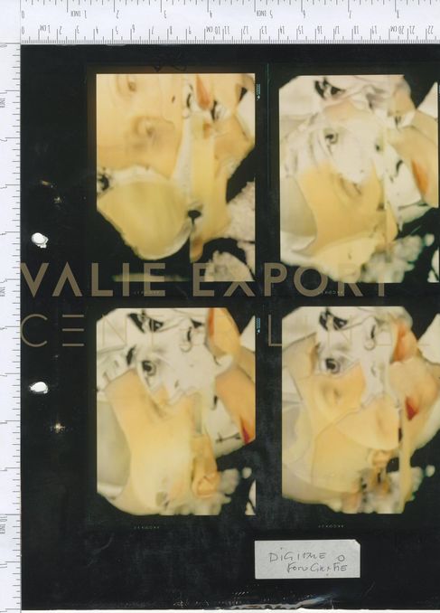 [VEC.002.401] - [Digitale Fotografie]