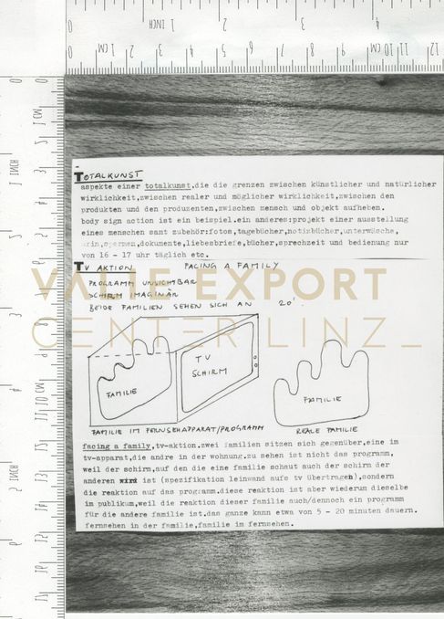 [VEC.002.188] - TOTALKUNST / TV AKTION FACING A FAMILY