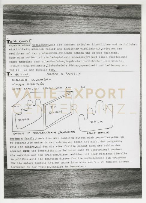 [VEC.002.188] - TOTALKUNST / TV AKTION FACING A FAMILY